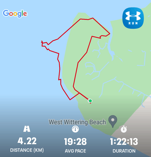 Dog Walk at West Wittering Beach